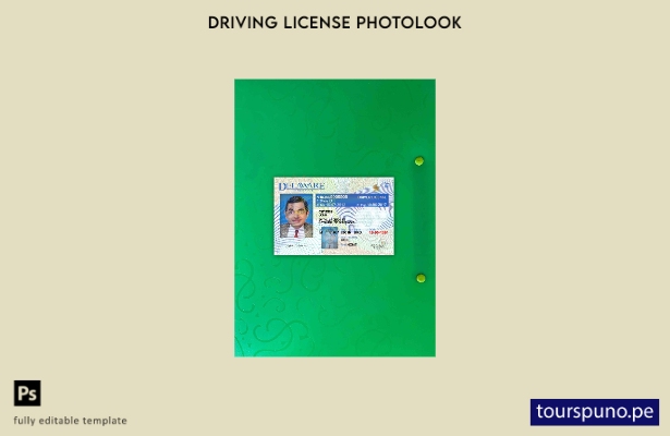 listo para imprimir plantilla FRONTAL de foto de versión de licencia de conduc 3